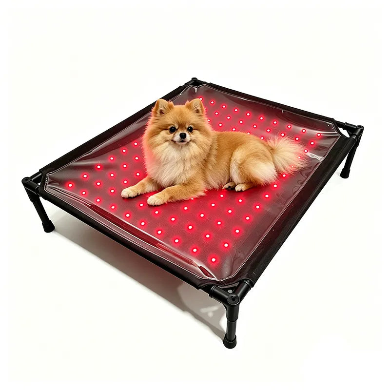 Anredar Elevated Red Light Pet Therapy Bed