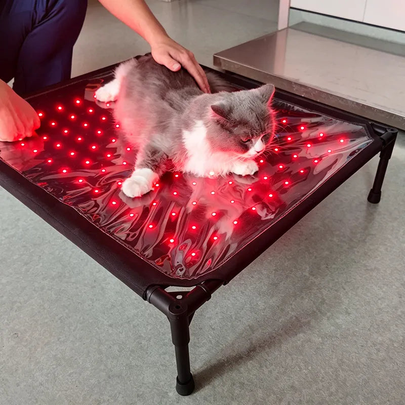 Anredar Elevated Red Light Pet Therapy Bed