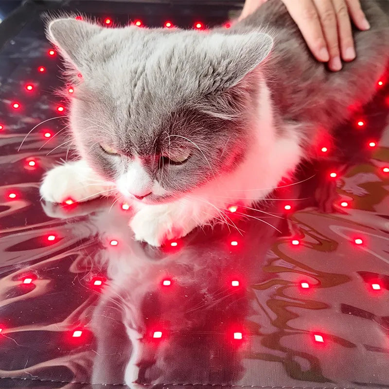 Anredar Elevated Red Light Pet Therapy Bed