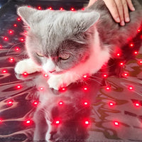 Anredar Elevated Red Light Pet Therapy Bed