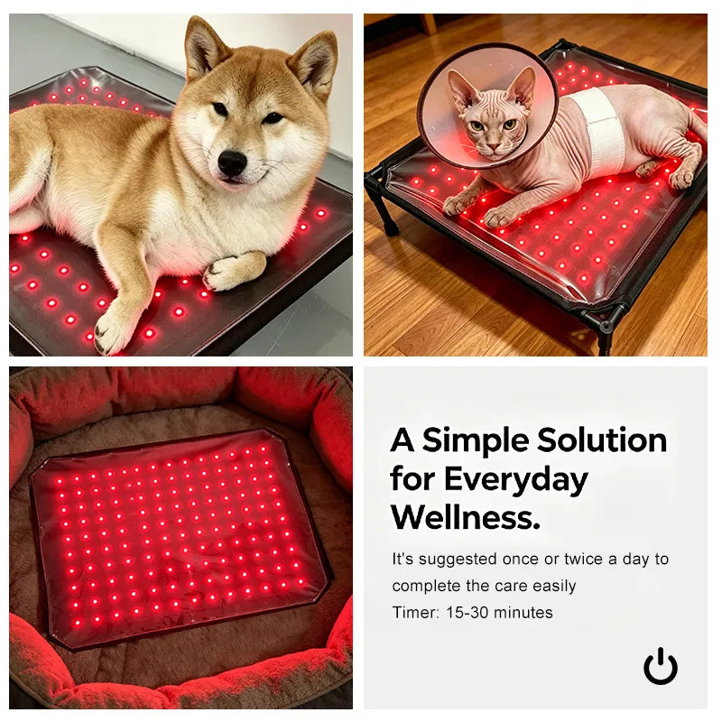 Anredar Elevated Red Light Pet Therapy Bed