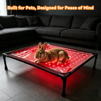 Anredar Elevated Red Light Pet Therapy Bed