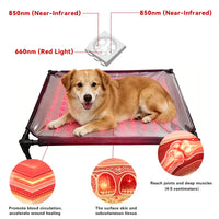 Anredar Elevated Red Light Pet Therapy Bed