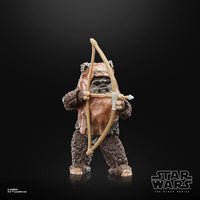 Hasbro Star Wars Wicket Figure (15 cm)