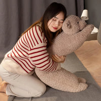 Dream Hug Bear Cuddly Plush Pillow