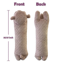 Dream Hug Bear Cuddly Plush Pillow