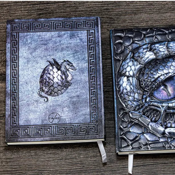Mythical Relic Embossed Dragon Eye Journal