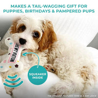 BowWow Chewy Vuiton Bone Plush