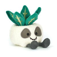 JC Amuseables Skeleton Plant Succulent Companion