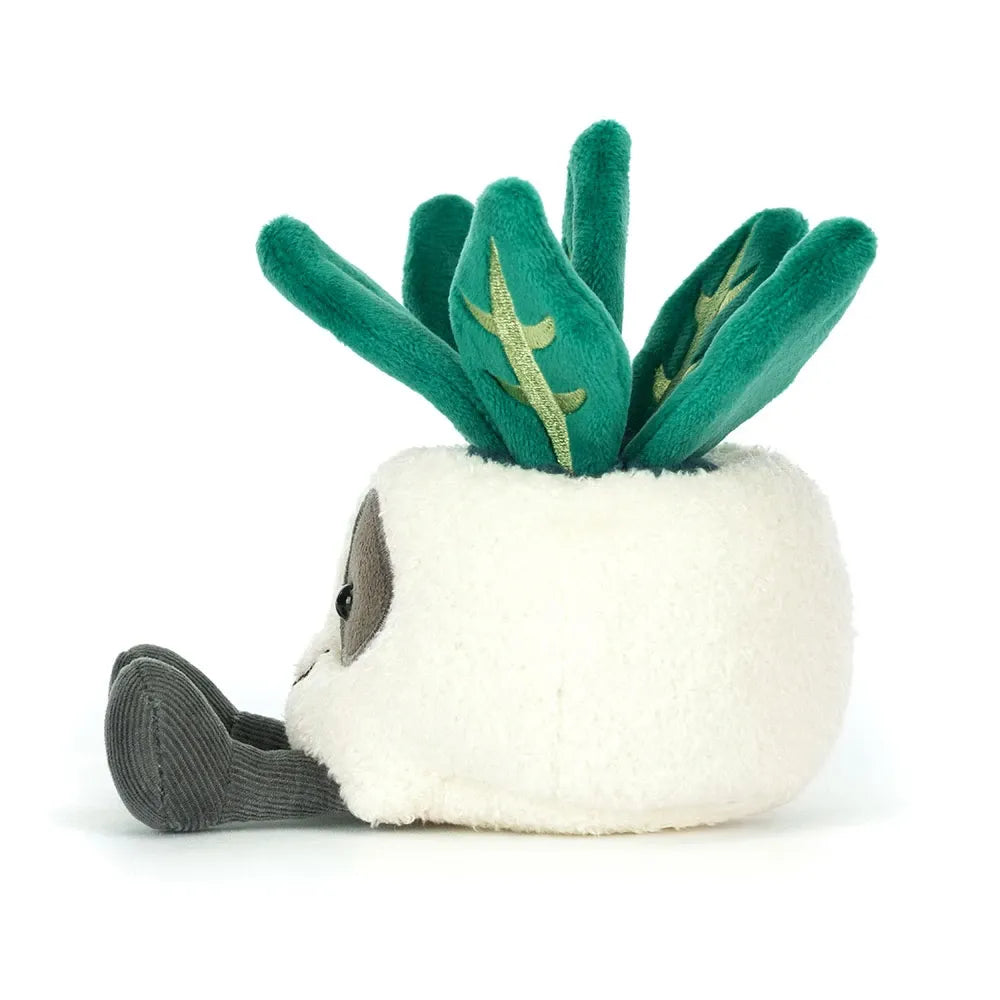 JC Amuseables Skeleton Plant Succulent Companion