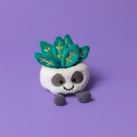 JC Amuseables Skeleton Plant Succulent Companion