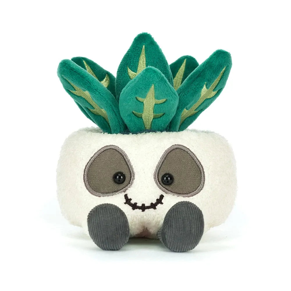 JC Amuseables Skeleton Plant Succulent Companion