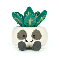 JC Amuseables Skeleton Plant Succulent Companion
