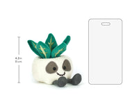 JC Amuseables Skeleton Plant Succulent Companion