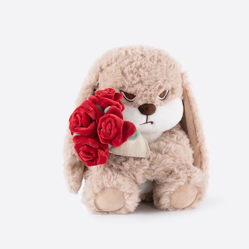 Bunny Plush Toy💐 - Bear Hugs
