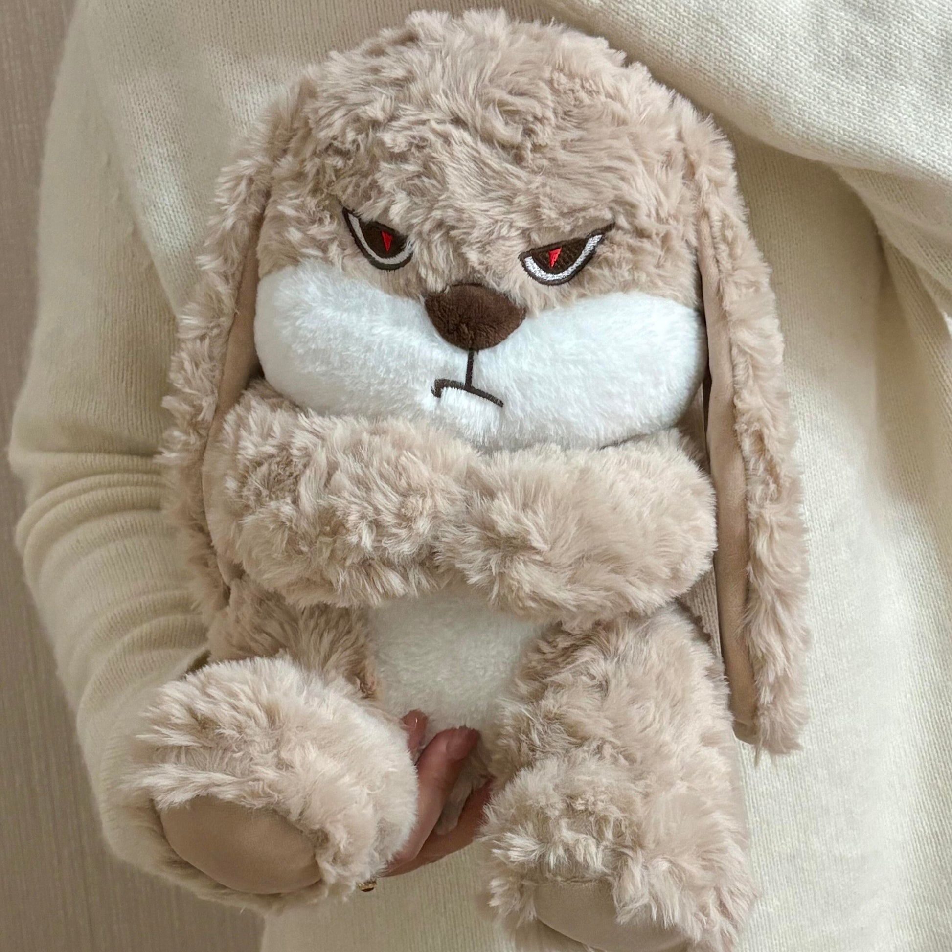 Bunny Plush Toy💐 - Bear Hugs