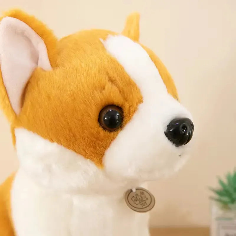 Adorable Corgi and Labrador Plushies (30 cm)