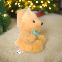 Gentle Gaze Teddy Bear Plush (25 cm)