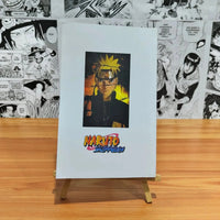 Naruto Adventure A5 Diary