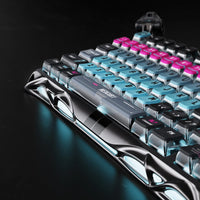 Mercury V75 Pro - Cyberpunk - Bear Hugs