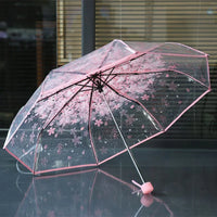 Fashion Sakura Folding Umbrella PN3423 - Bear Hugs