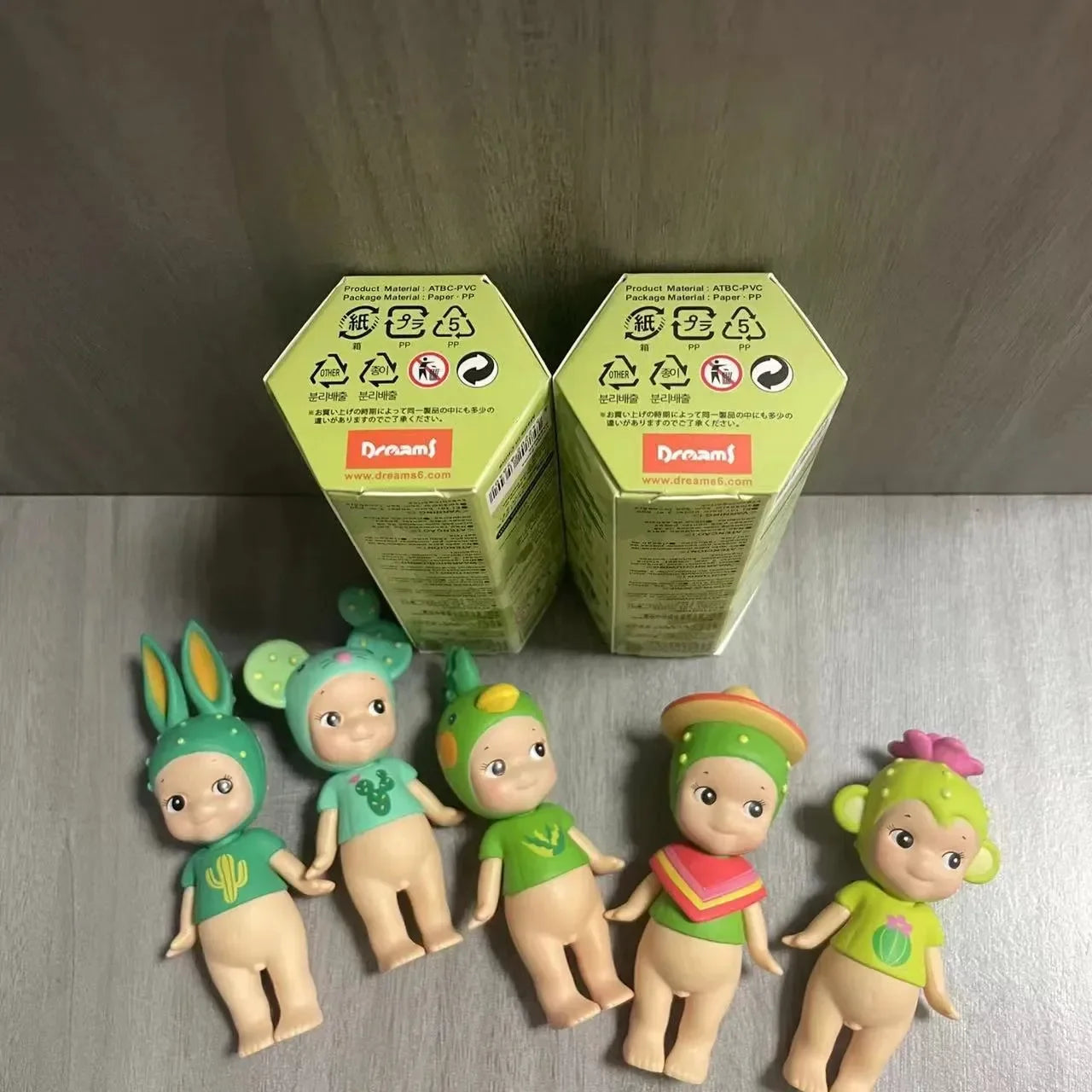 Sonny Angel Cactus Series Blind Box