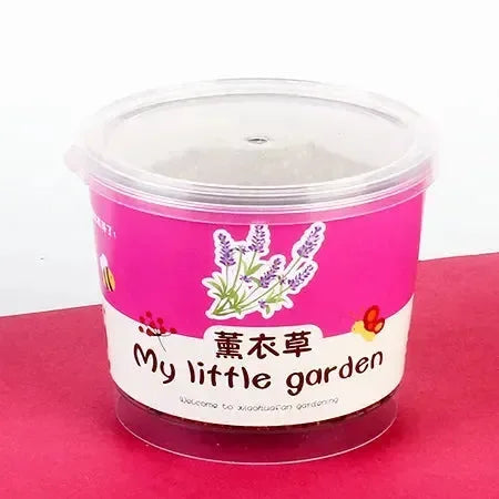 My Little Garden DIY Indoor Plant Kit