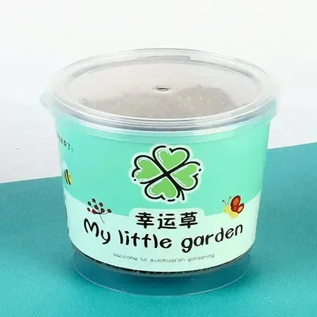 My Little Garden DIY Indoor Plant Kit