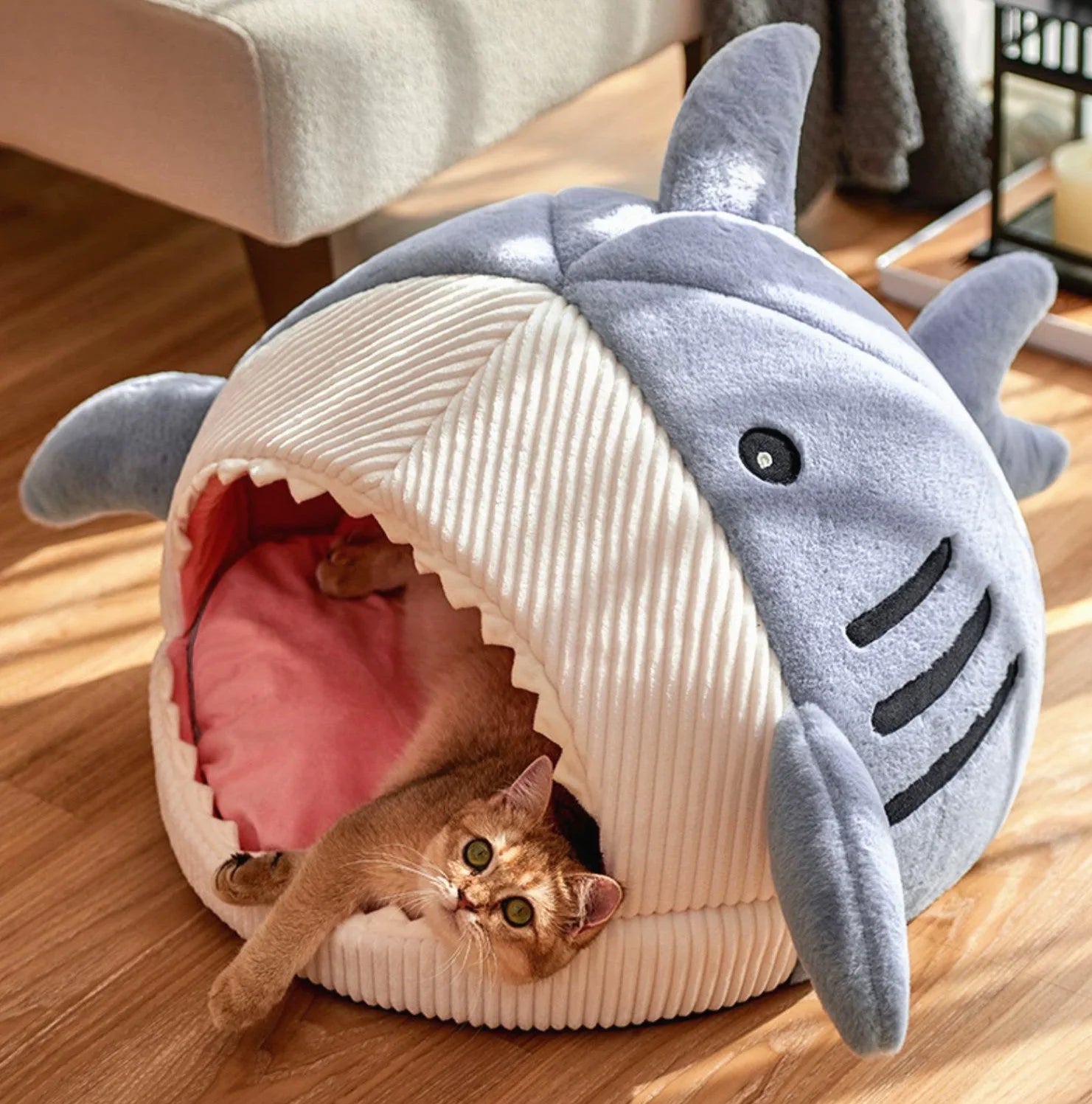Lovely Shark Cat House PN5544 - Bear Hugs