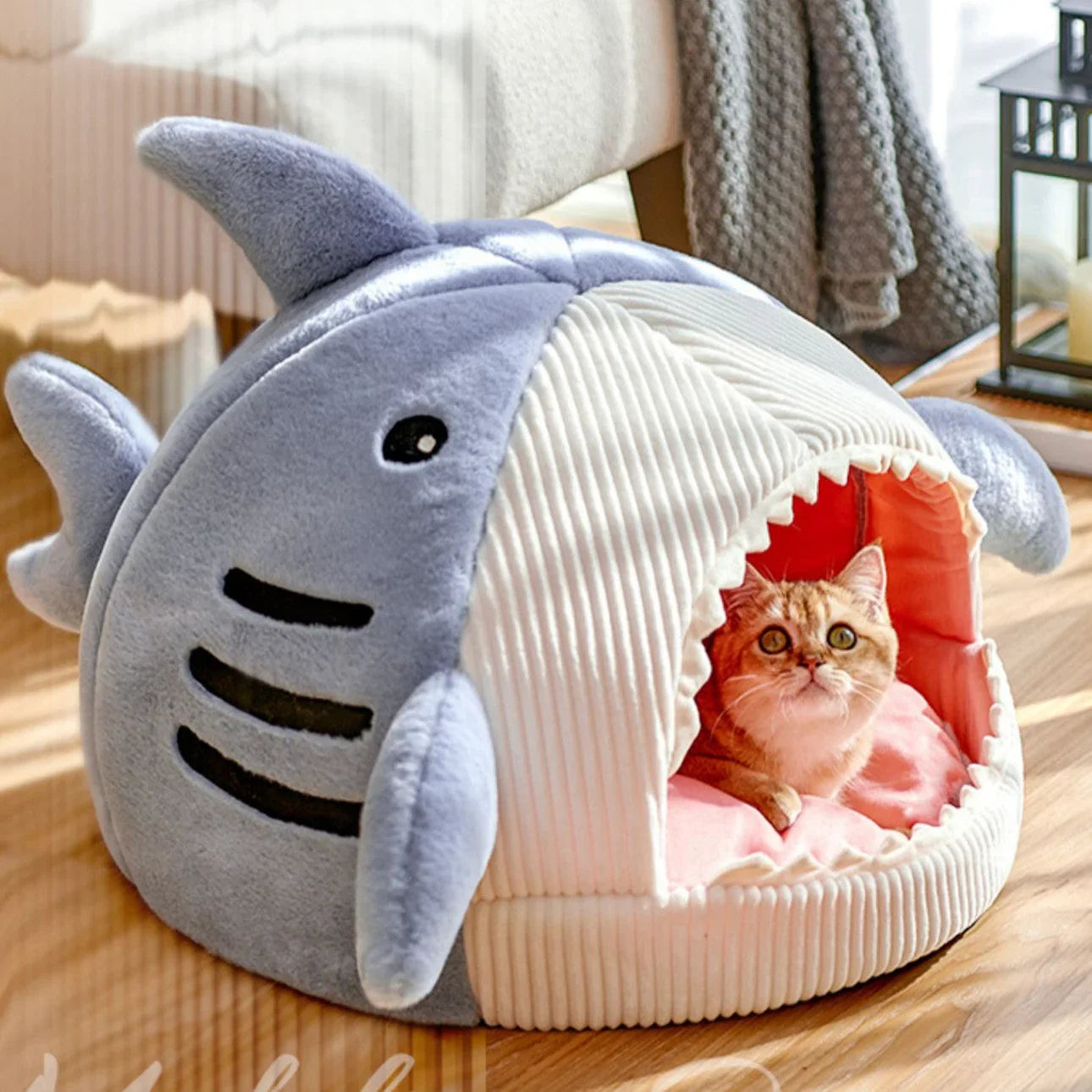 Lovely Shark Cat House PN5544 - Bear Hugs