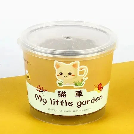 My Little Garden DIY Indoor Plant Kit