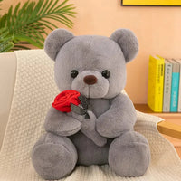 Valentine Rose Teddy Bear (30 cm)