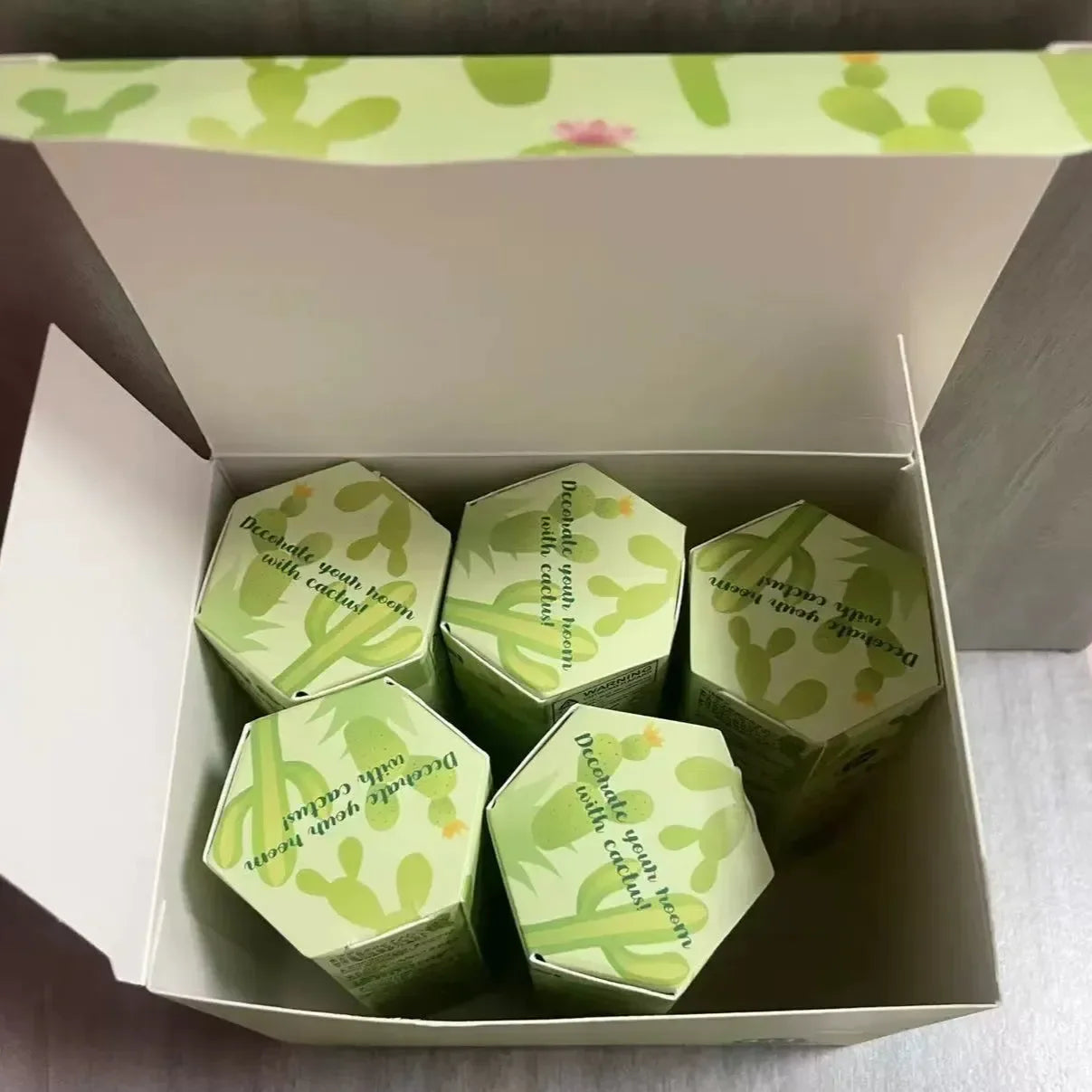 Sonny Angel Cactus Series Blind Box