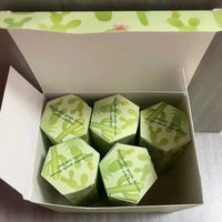 Sonny Angel Cactus Series Blind Box