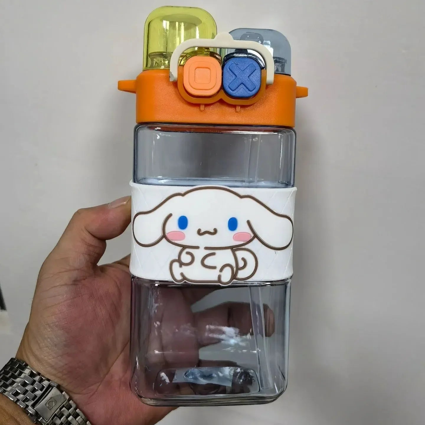 Double-Drink Straw Cup Water Bottle (570 ml)