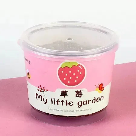 My Little Garden DIY Indoor Plant Kit