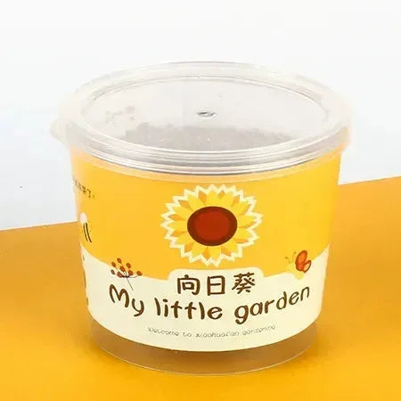 My Little Garden DIY Indoor Plant Kit