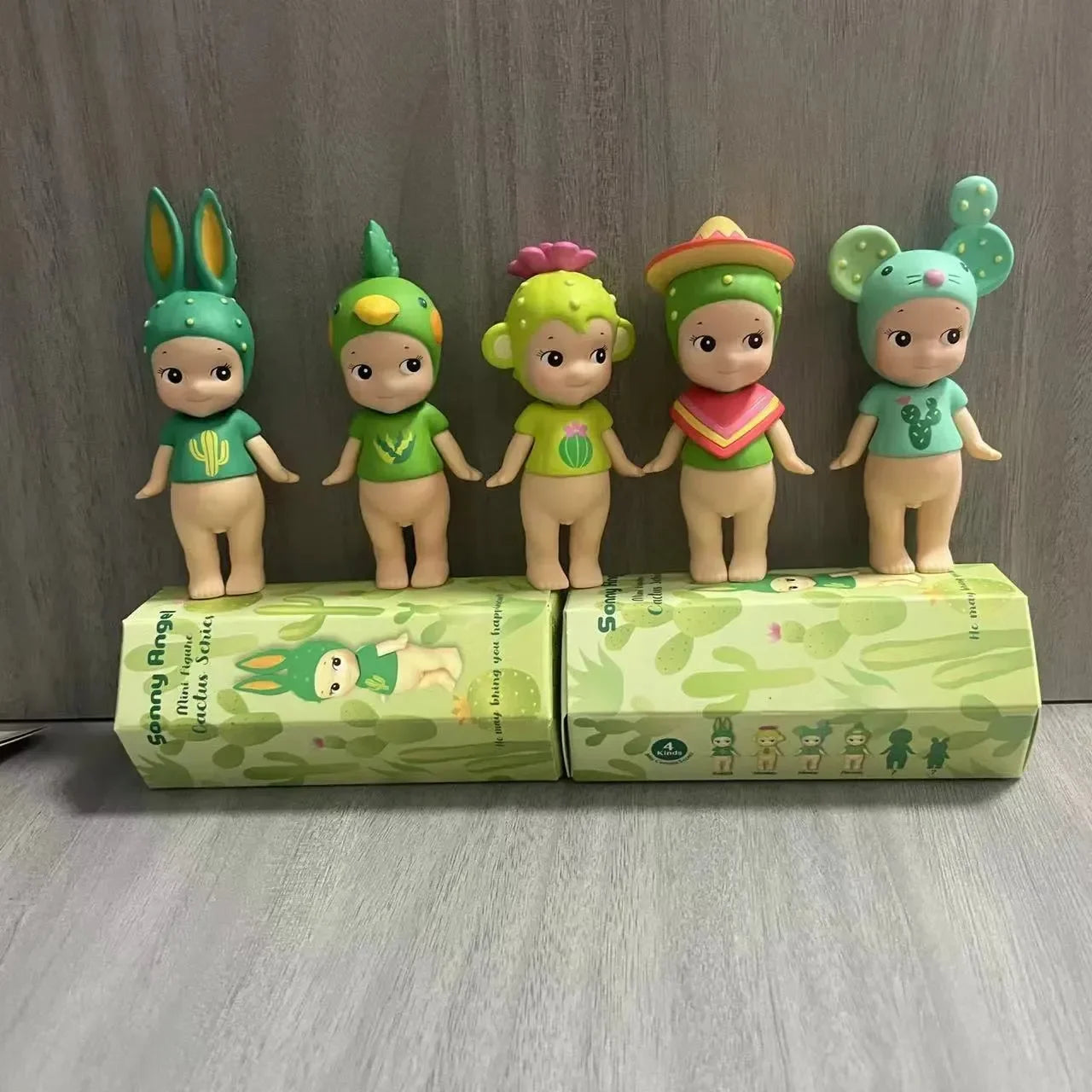 Sonny Angel Cactus Series Blind Box
