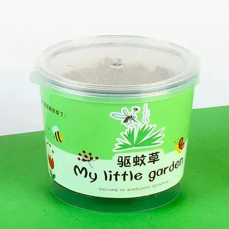 My Little Garden DIY Indoor Plant Kit