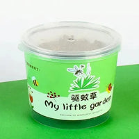 My Little Garden DIY Indoor Plant Kit