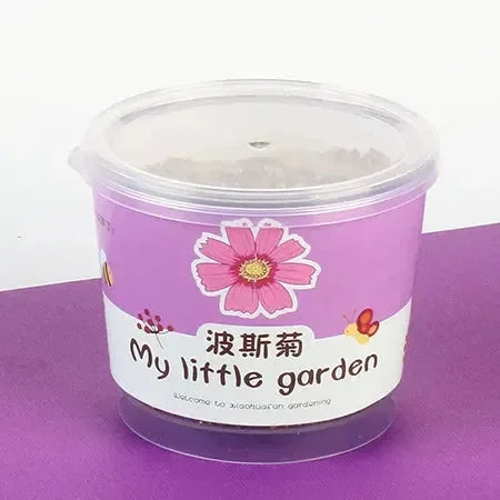 My Little Garden DIY Indoor Plant Kit