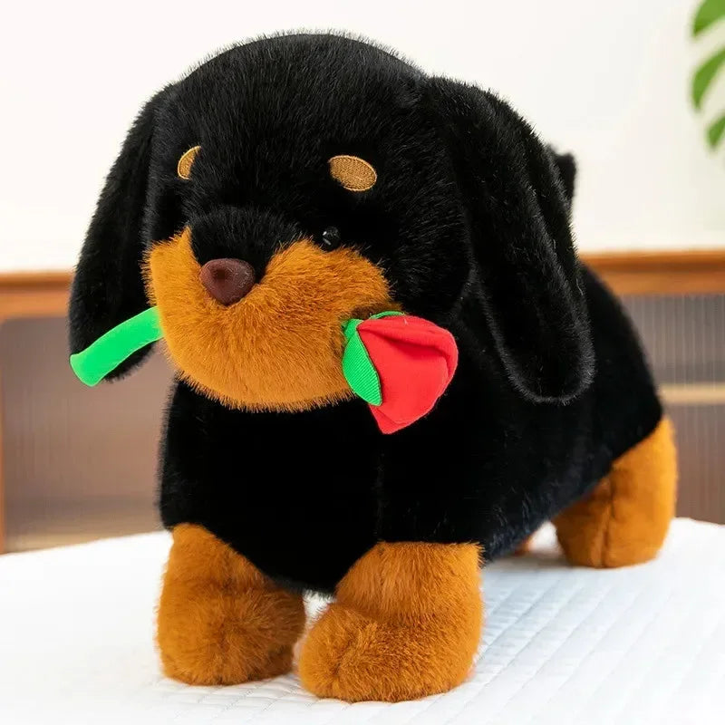 Rosy Dachshund Plush Pal