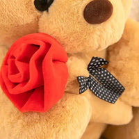 Valentine Rose Teddy Bear (30 cm)