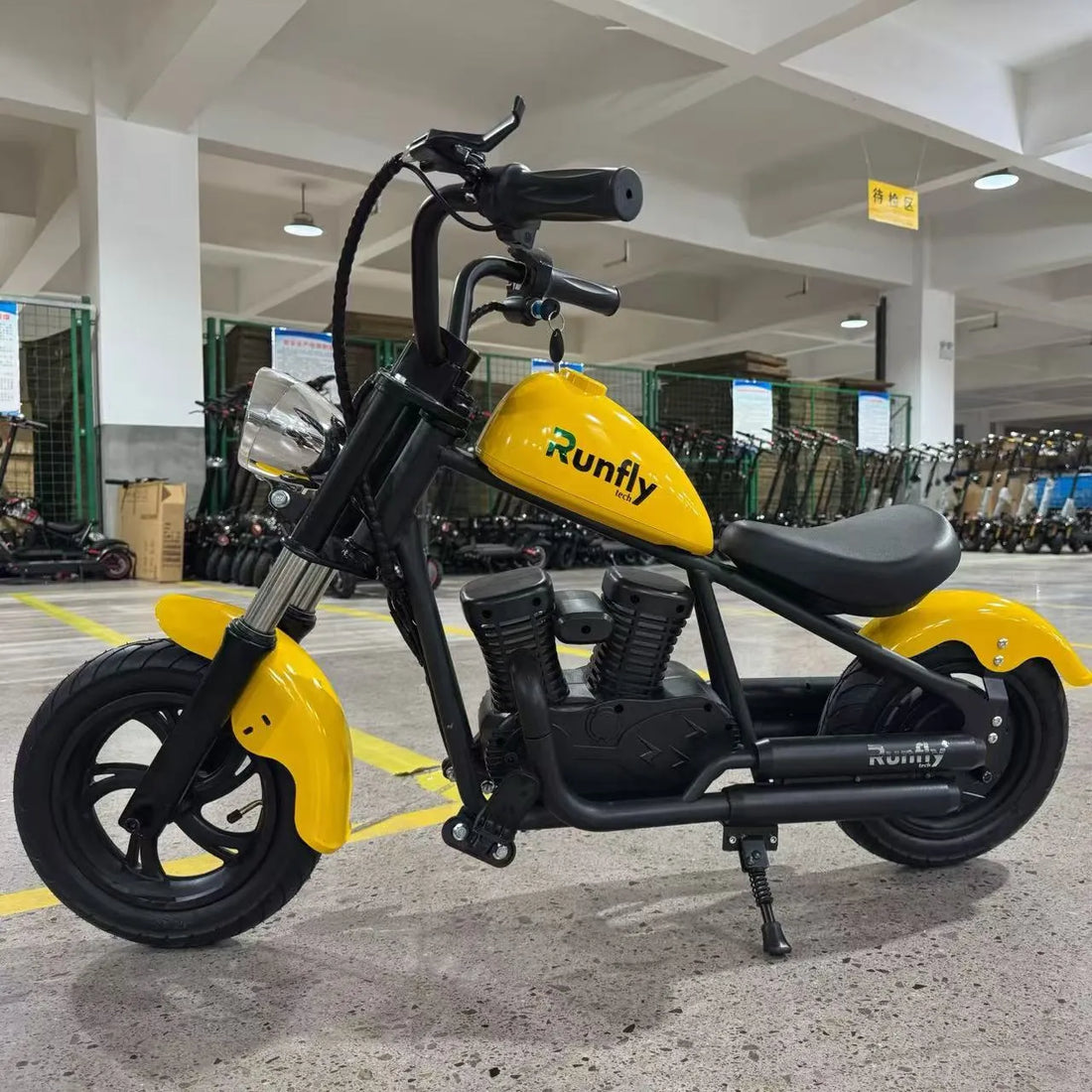 Runfly Roadster Kids Electric Bike