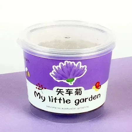 My Little Garden DIY Indoor Plant Kit