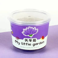 My Little Garden DIY Indoor Plant Kit