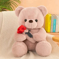 Valentine Rose Teddy Bear (30 cm)