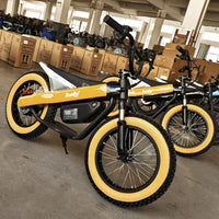 Runfly Blaze ET-01 Max Plus Electric Bike