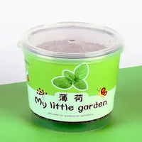 My Little Garden DIY Indoor Plant Kit