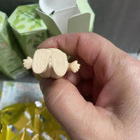 Sonny Angel Cactus Series Blind Box